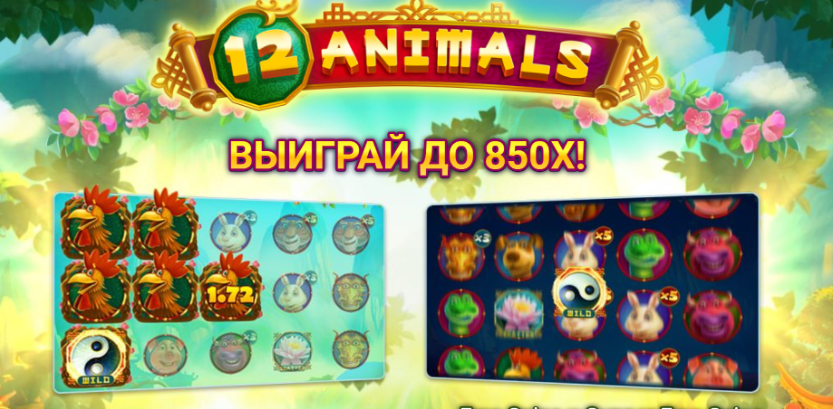12 animals